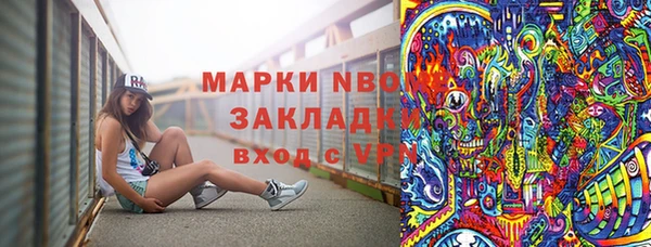PSILOCYBIN Новозыбков