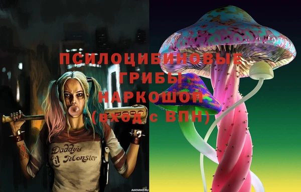 PSILOCYBIN Новозыбков