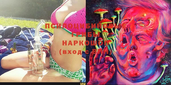 трава Сясьстрой