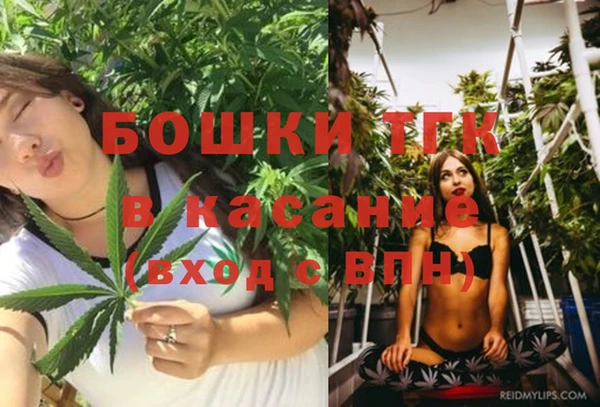 гашик Гусиноозёрск