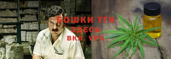ГАЛЛЮЦИНОГЕННЫЕ ГРИБЫ Гусь-Хрустальный
